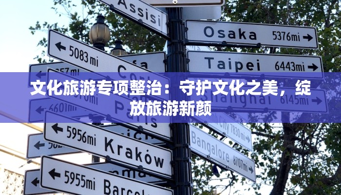 文化旅游专项整治：守护文化之美，绽放旅游新颜