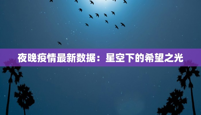 夜晚疫情最新数据：星空下的希望之光