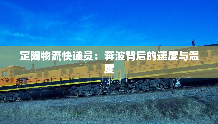 定陶物流快递员：奔波背后的速度与温度