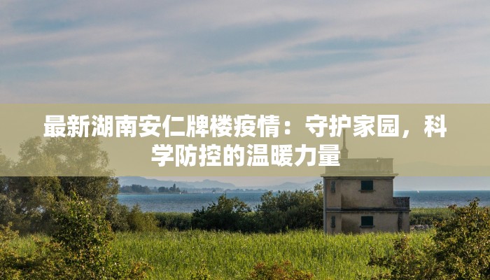 最新湖南安仁牌楼疫情：守护家园，科学防控的温暖力量