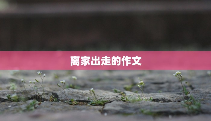 离家出走的作文