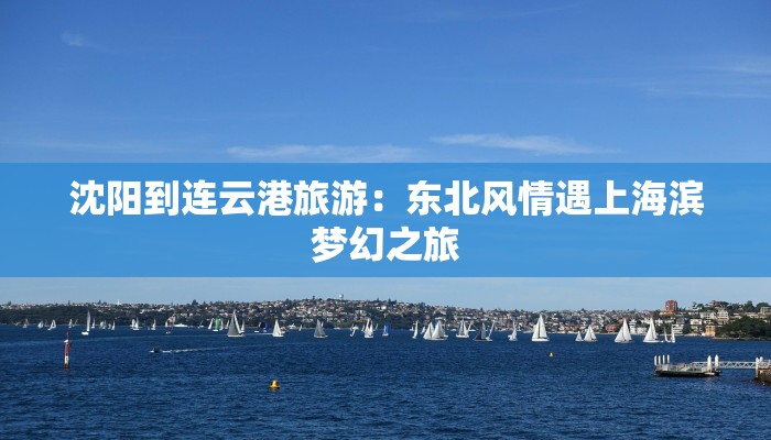 沈阳到连云港旅游:东北风情遇上海滨梦幻之旅 沈阳到连云港旅游:东北风情遇上海滨梦幻之旅