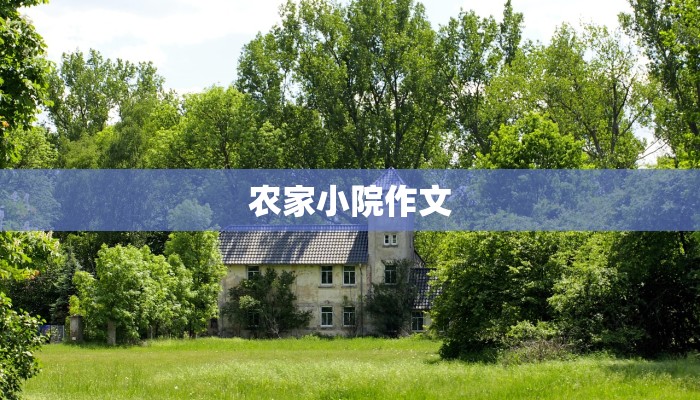 农家小院作文