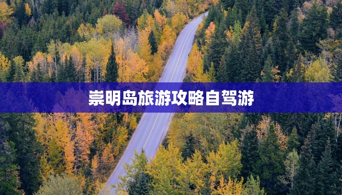 崇明岛旅游攻略自驾游