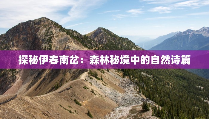 探秘伊春南岔：森林秘境中的自然诗篇