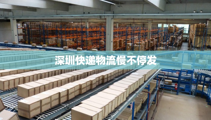 深圳快递物流慢不停发