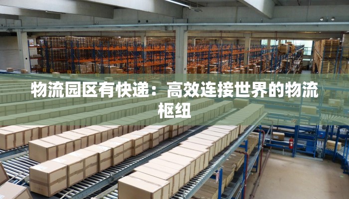 快递物流中转袋腕表：物流时代的时尚守护者