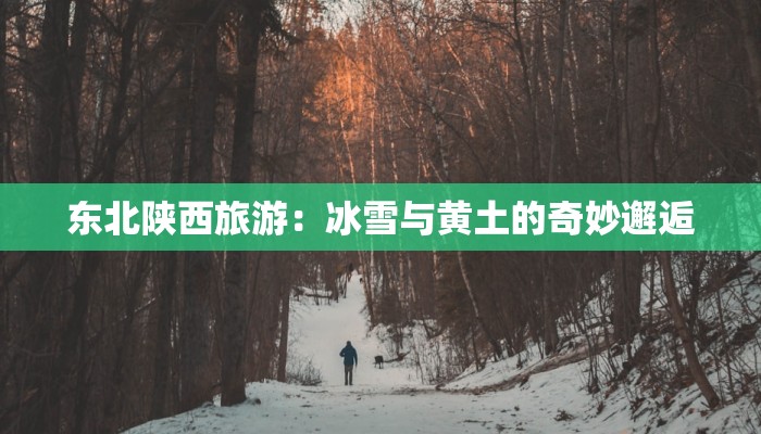 东北陕西旅游:冰雪与黄土的奇妙邂逅 东北陕西旅游:冰雪与黄土的奇妙邂逅