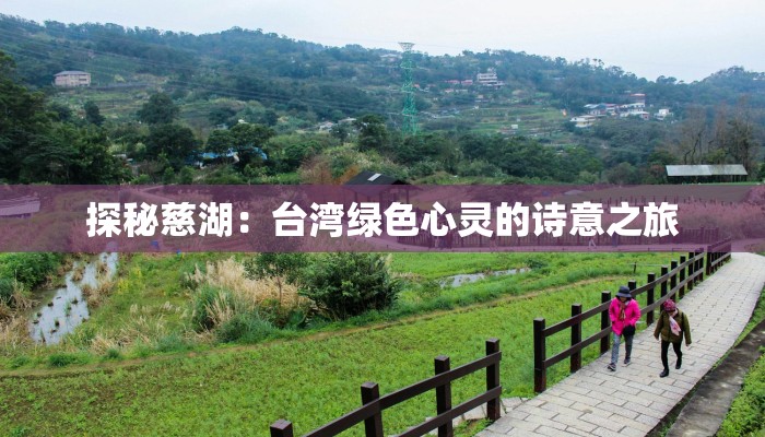探秘慈湖:台湾绿色心灵的诗意之旅 探秘慈湖:台湾绿色心灵的诗意之旅
