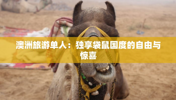 澳洲旅游单人:独享袋鼠国度的自由与惊喜 澳洲旅游单人:独享袋鼠国度的自由与惊喜