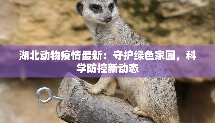 湖北动物疫情最新:守护绿色家园,科学防控新动态 湖北动物疫情最新:守护绿色家园,科学防控新动态