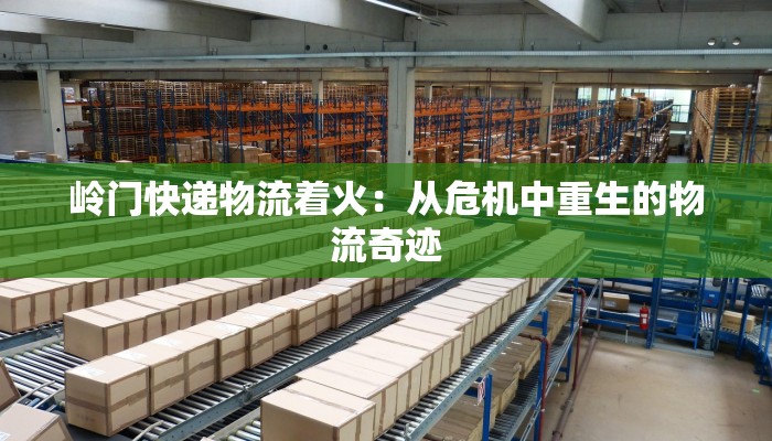 岭门快递物流着火:从危机中重生的物流奇迹 岭门快递物流着火:从危机中重生的物流奇迹